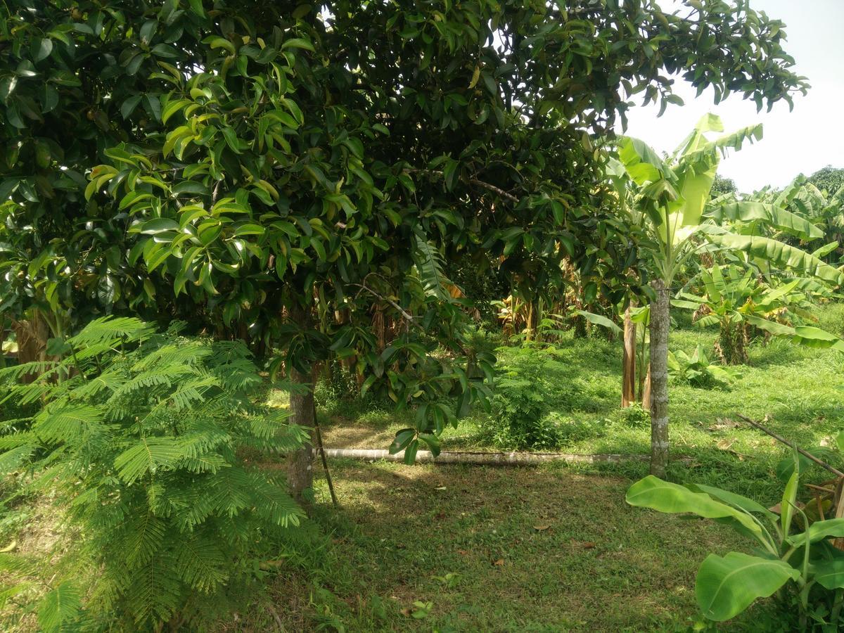 Deva Garden Resort Prachinburi Exterior foto